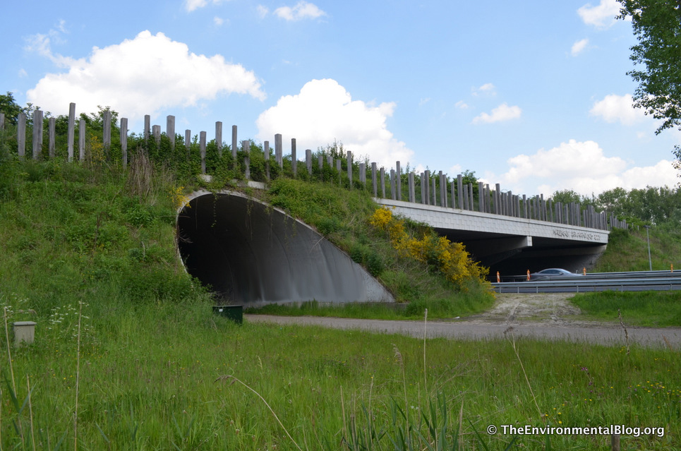 green-bridge-ecoduct