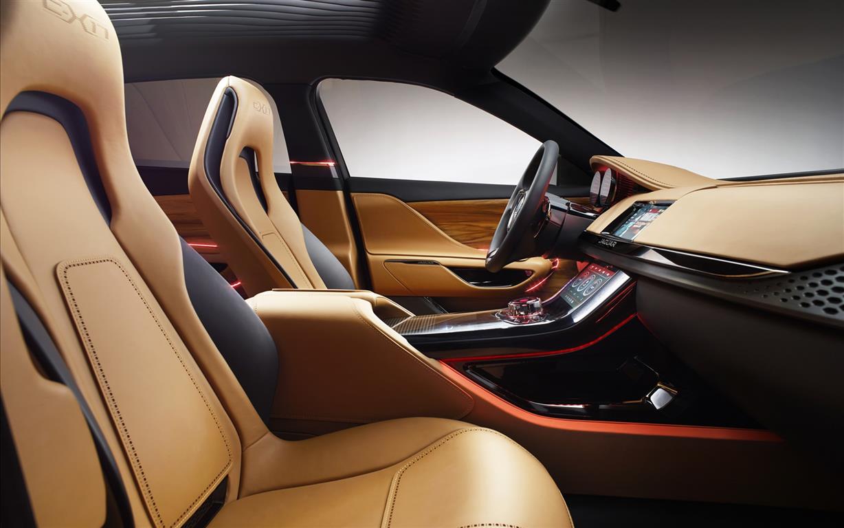 Jaguar-C-X17-5-Seater-Concept-2013-widescreen-13
