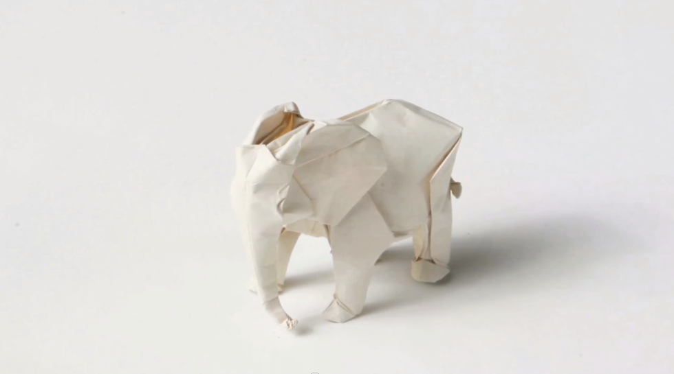WHITE ELEPHANT_02