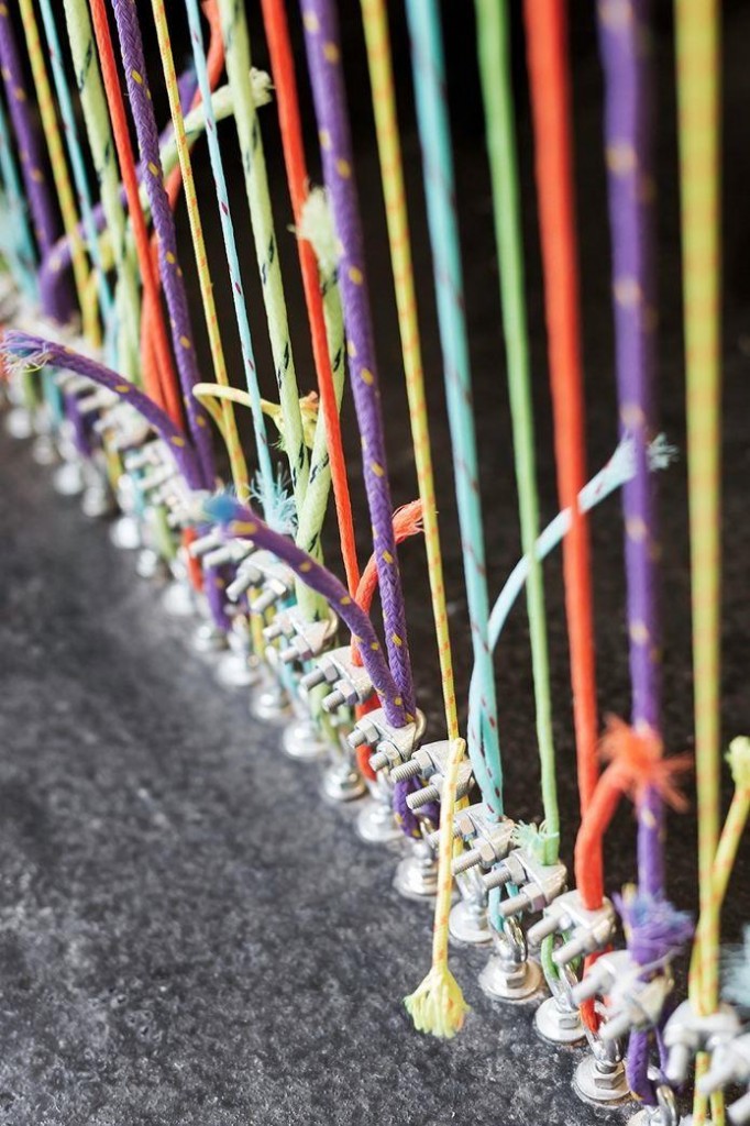 005ec8da-8cff-46b1-a955-ef799aeca5d5