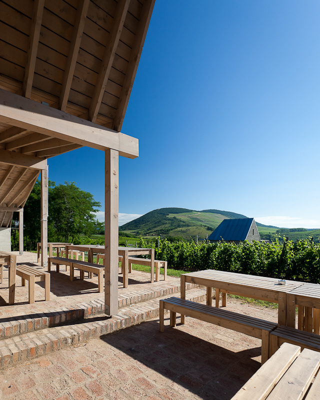 53f3f9d5c07a80096200050a_wine-terrace-and-spa-gereben-mari-n-architects_aes_04