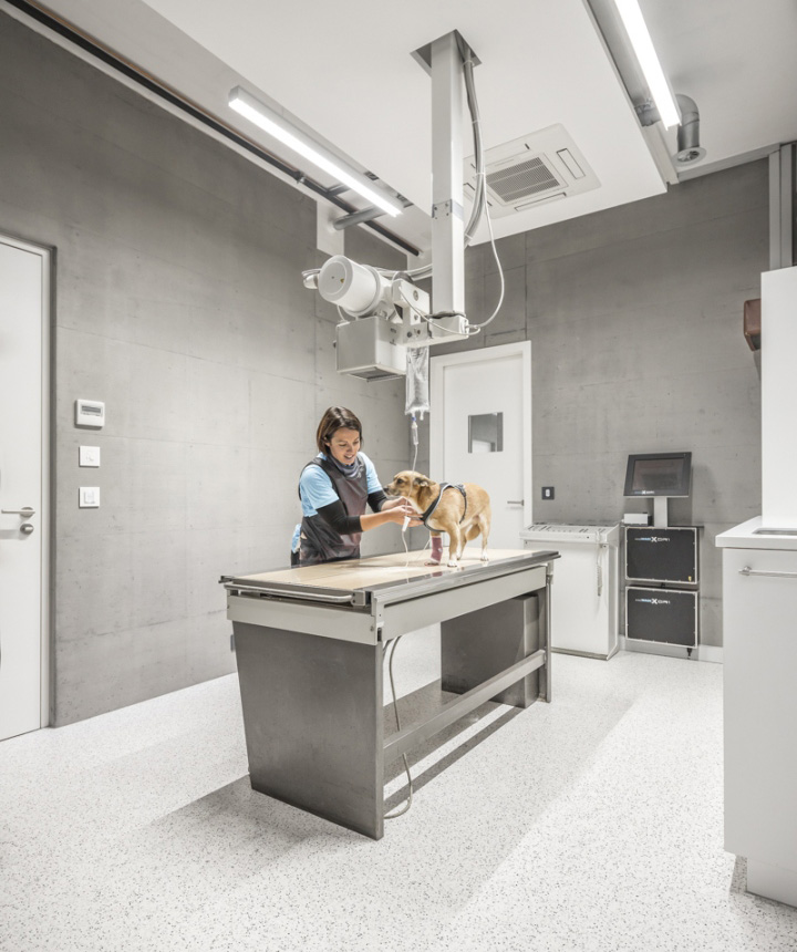 Veterinary-Clinic-Masans-by-Domenig-Architekten-Chur-Switzerland-06