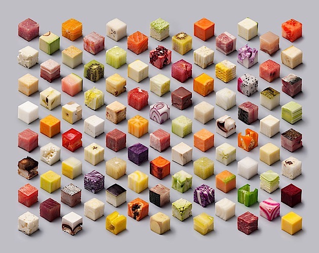 snygo_files001-food-cubes