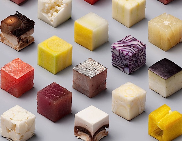 snygo_files003-food-cubes
